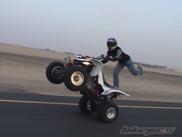 Photo 134599