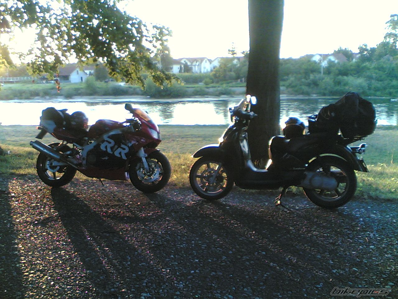 Photo 1346037