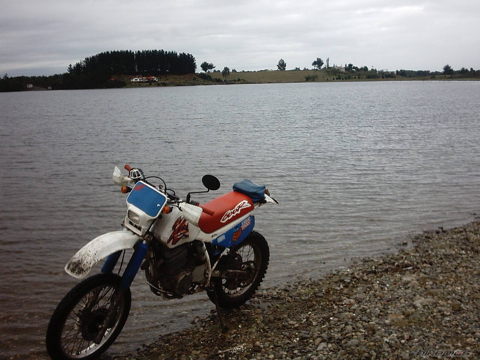 Bike Photo 134611