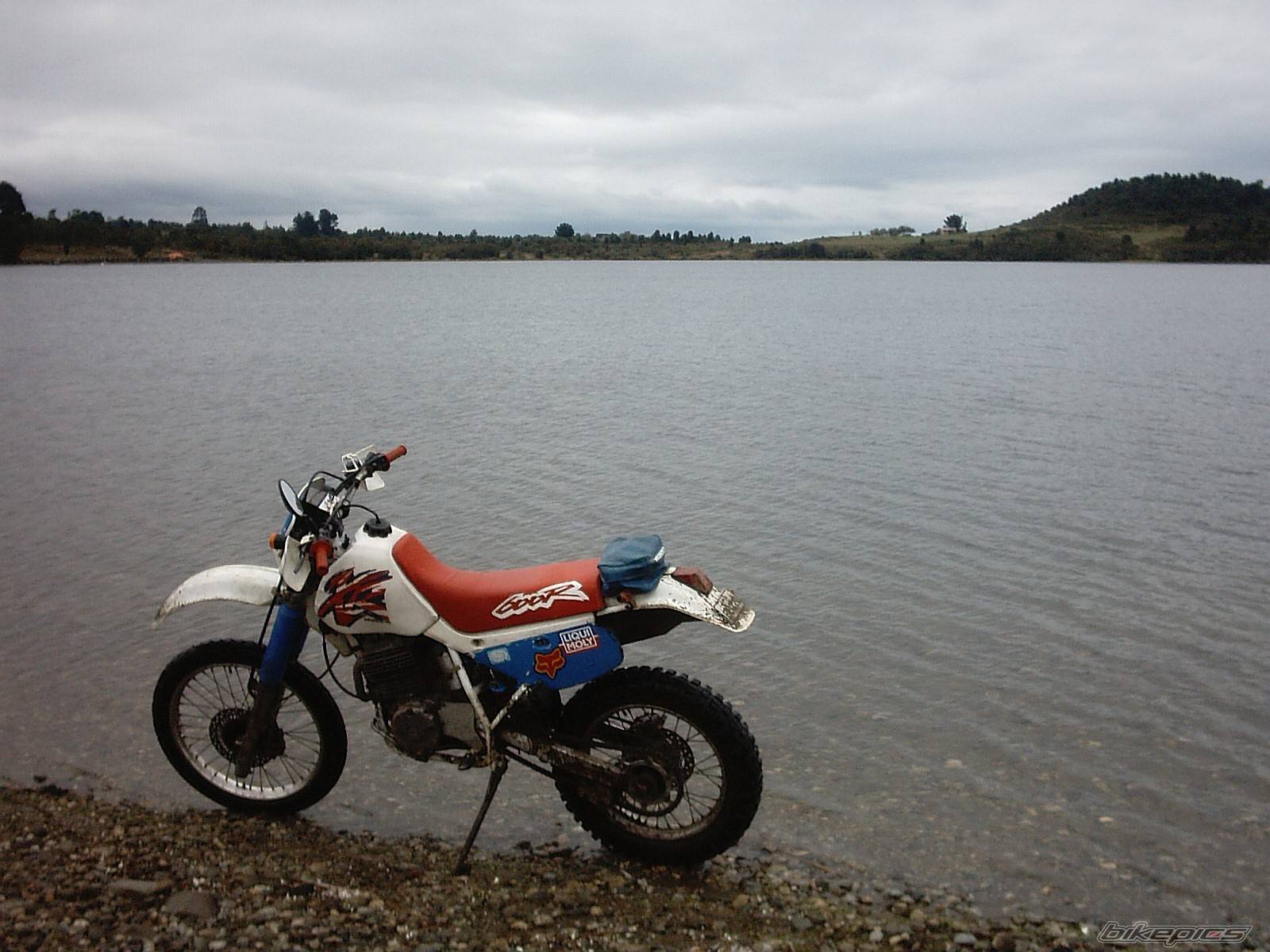 Photo 134615