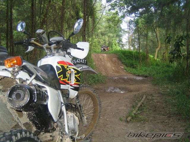Bike Photo 1346172