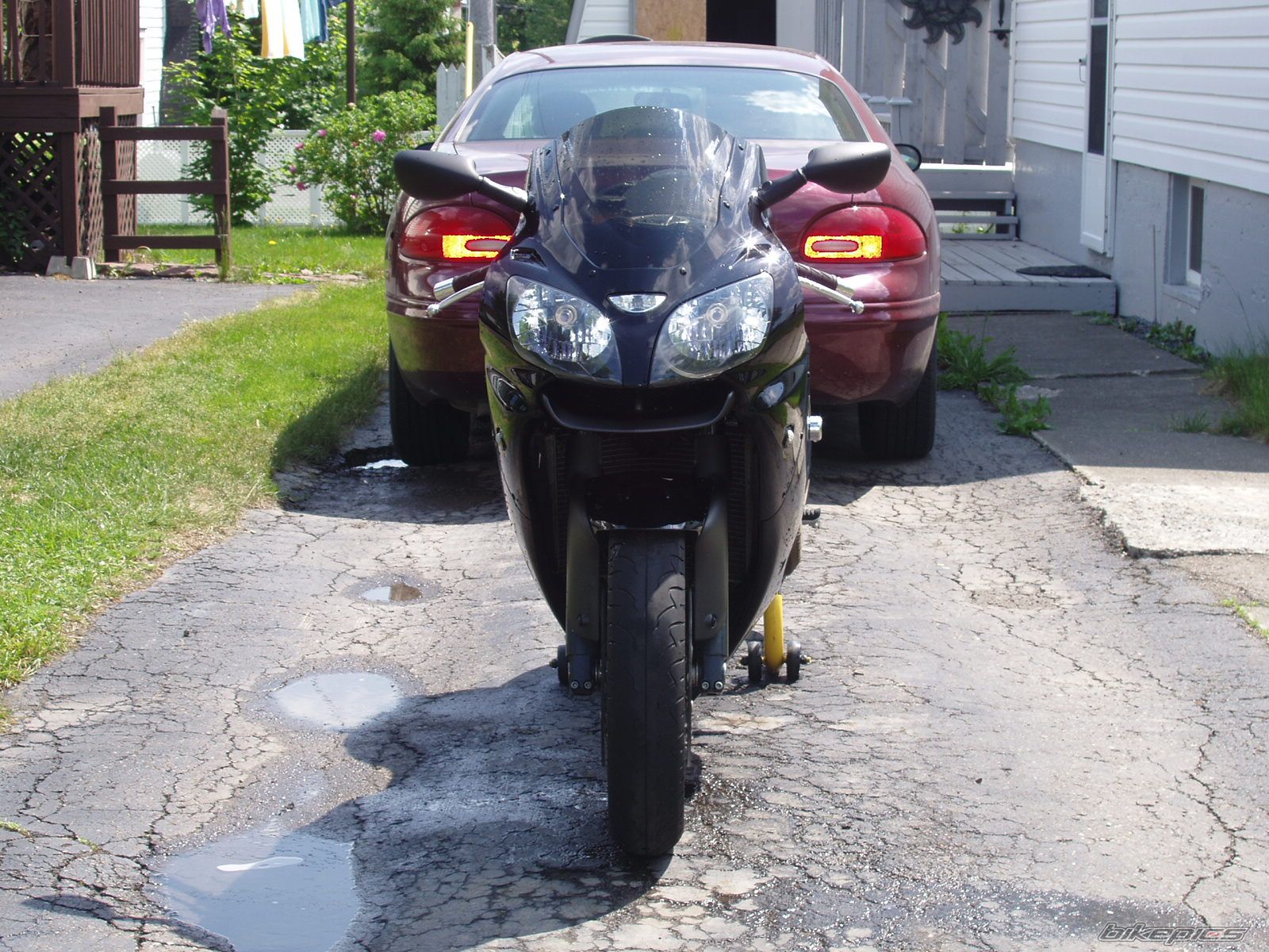 Photo 1346190