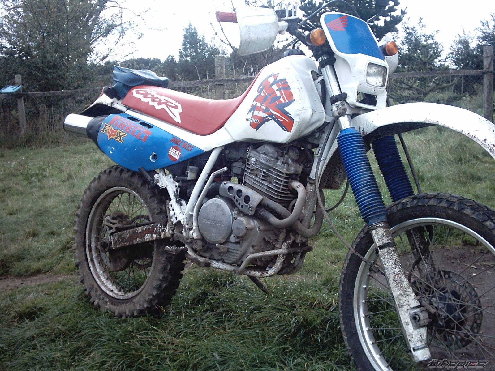 Photo 134620