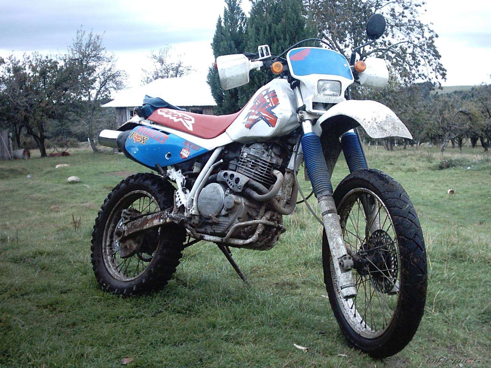 Bike Photo 134621