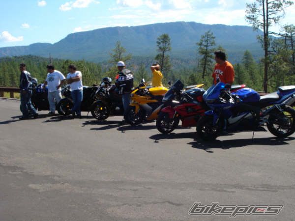 Photo 1346239