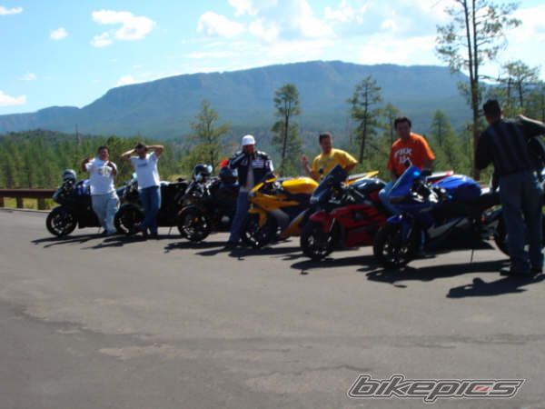 Photo 1346240
