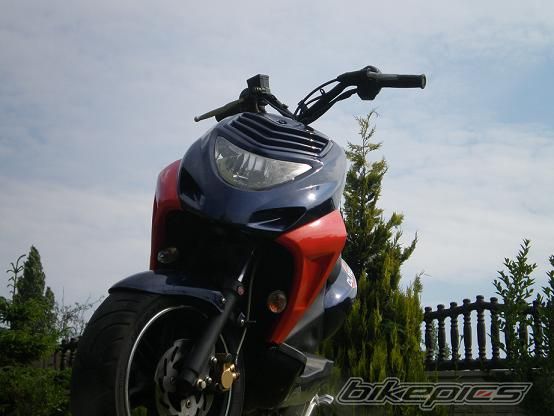 Photo 1346289