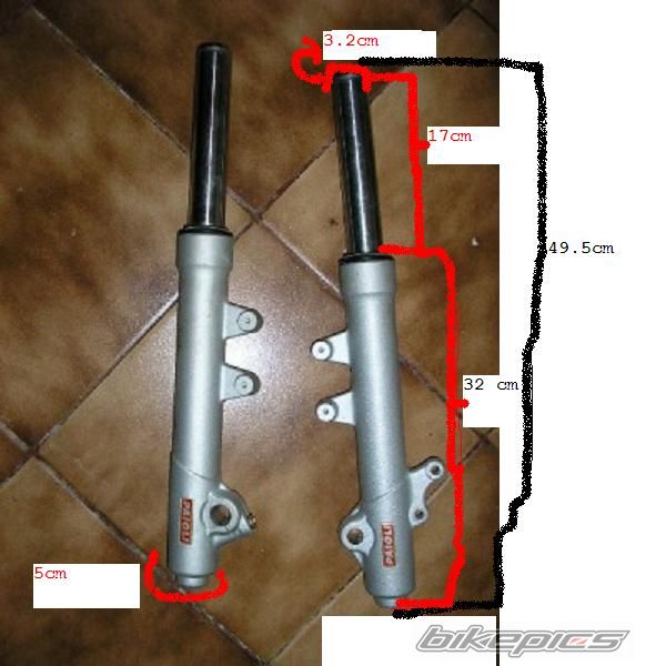 Photo 1346353