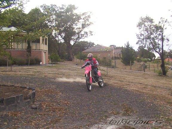 Photo 134636