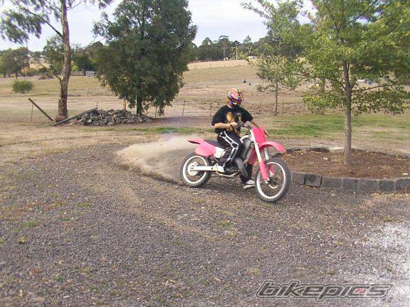 Photo 134637