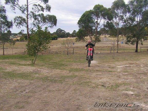 Photo 134640