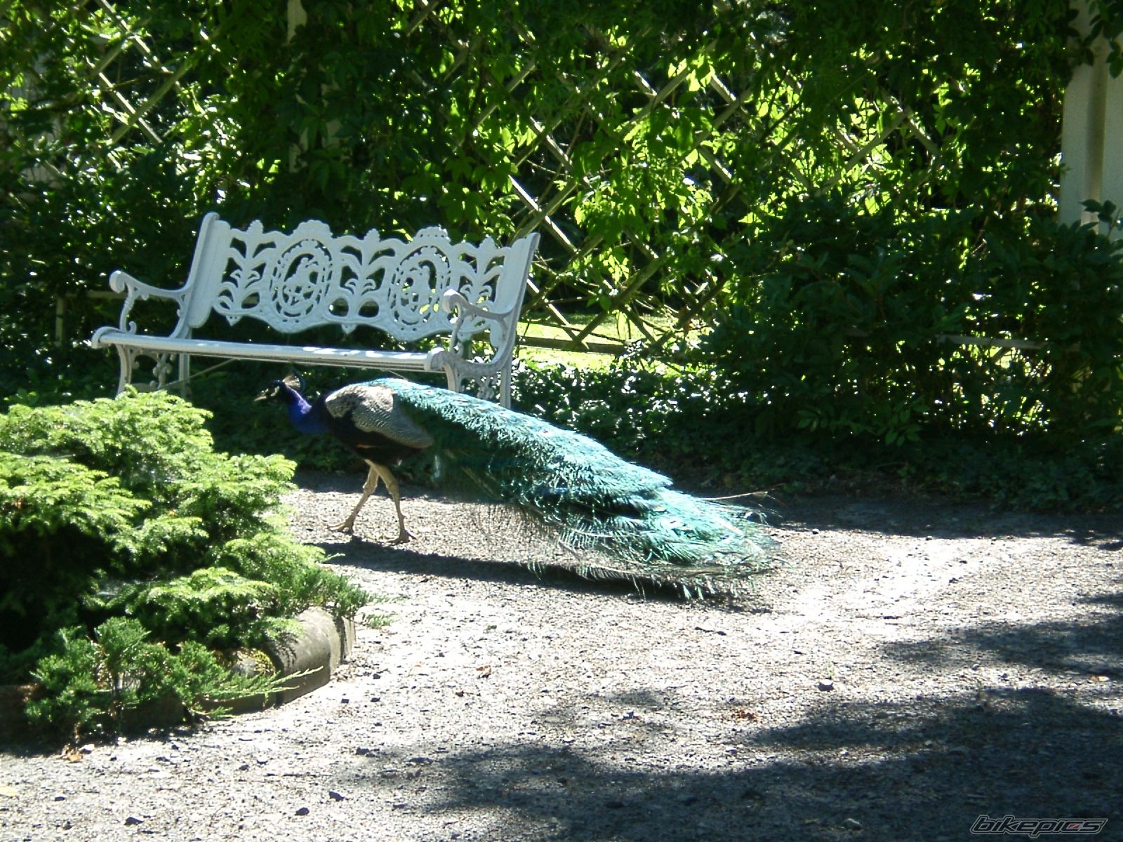 Photo 1346497