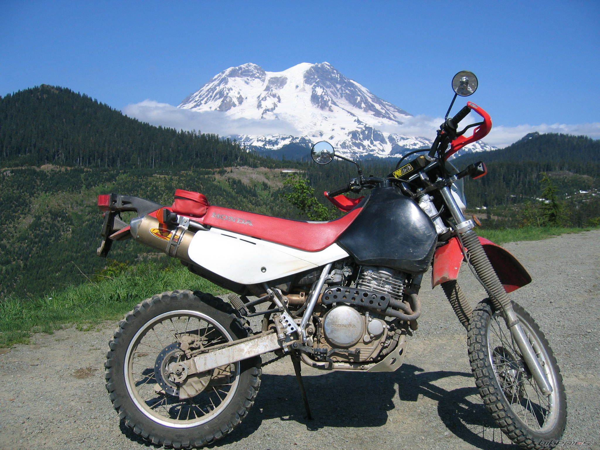 Photo 1346614