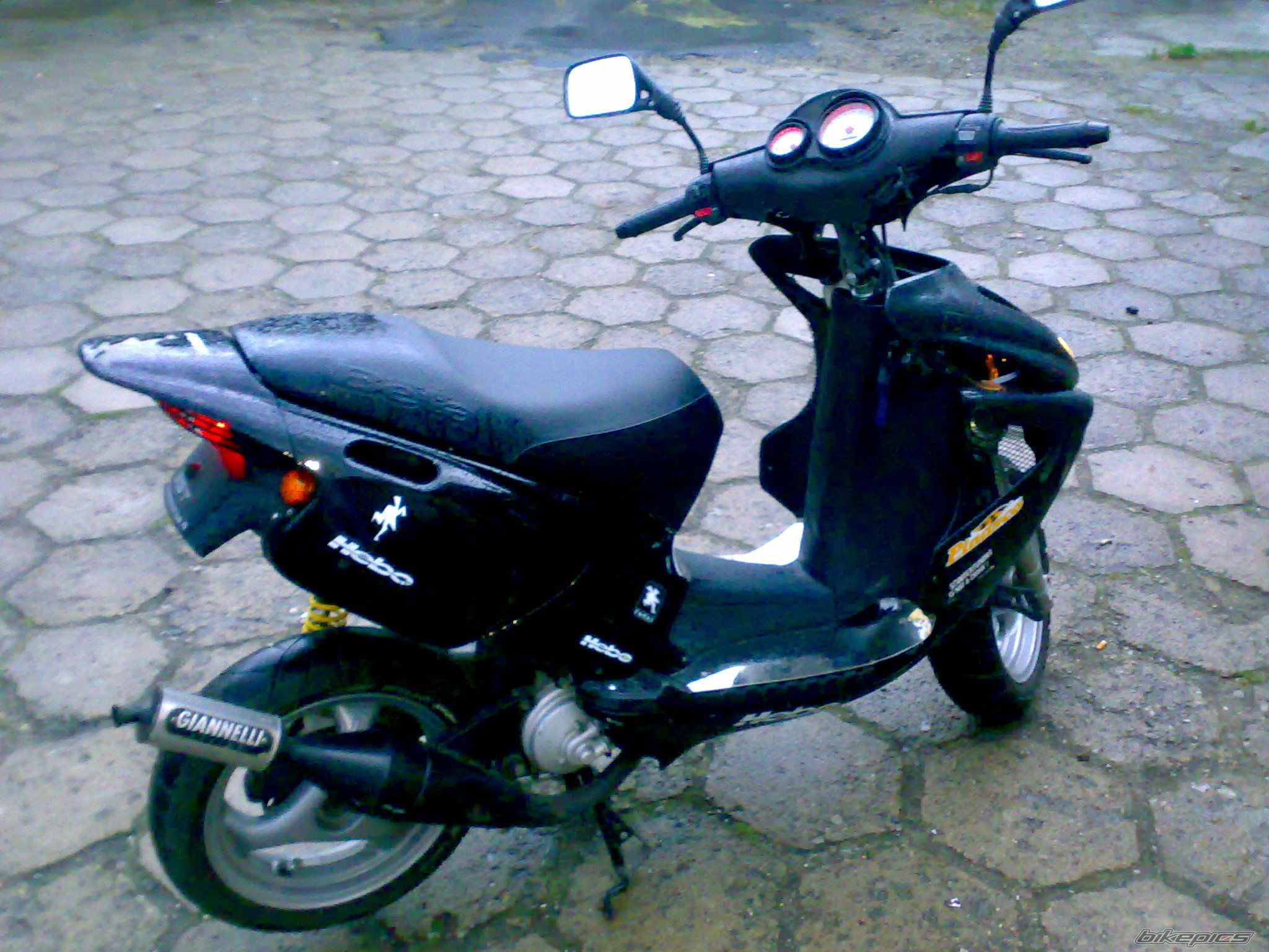 Photo 1346666