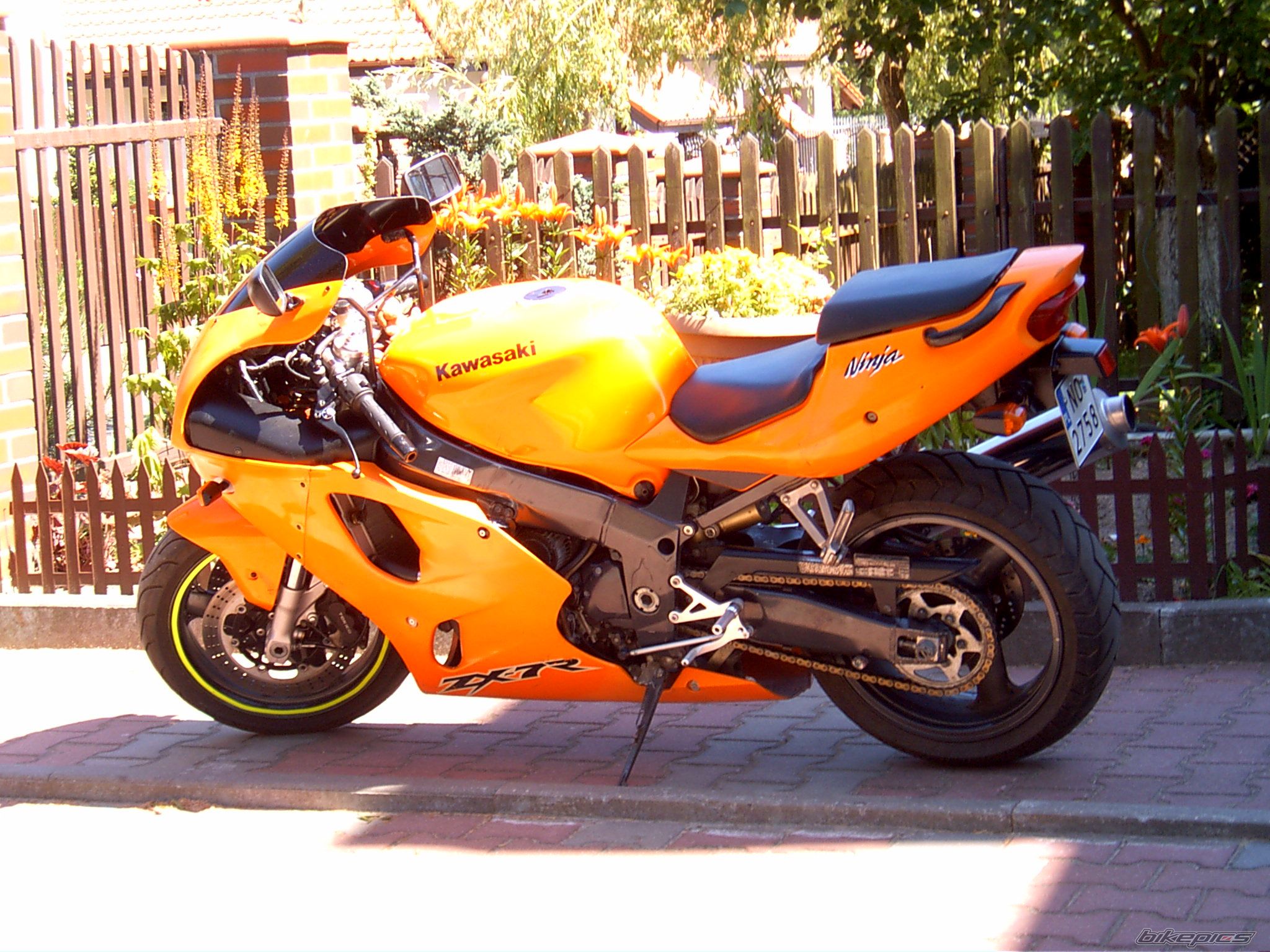 Photo 1346725