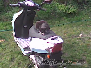 Photo 1346830