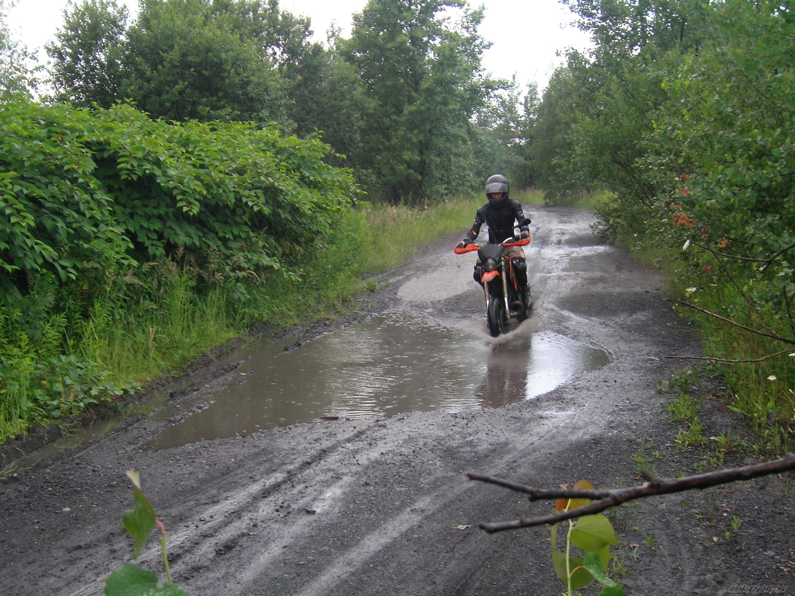 Photo 1346842
