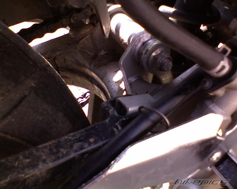 Photo 1346852