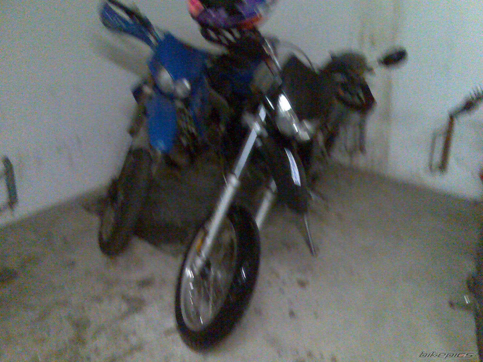 Photo 1346901