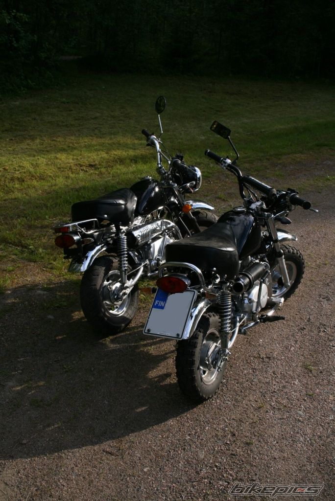 Photo 1346933
