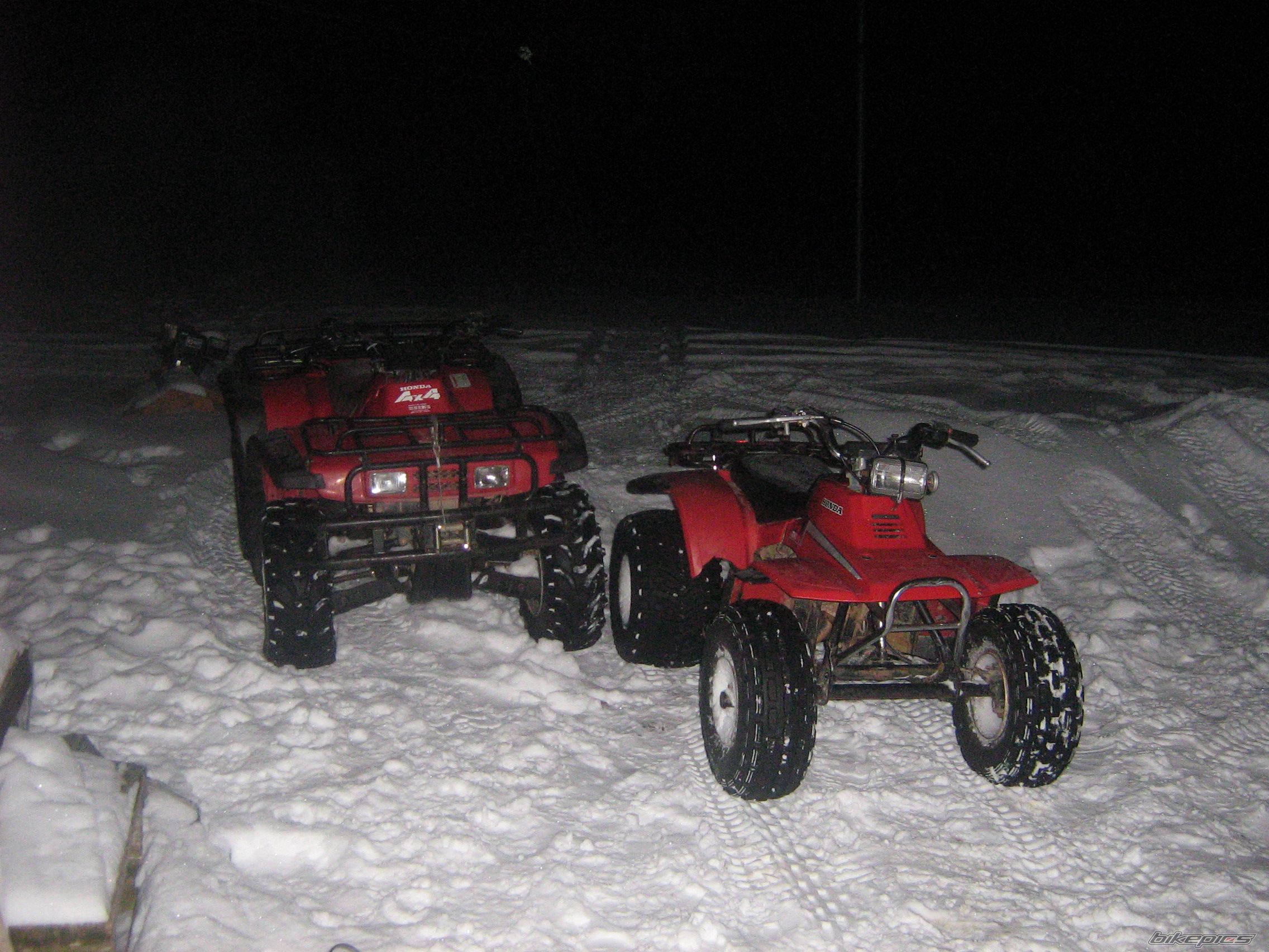 Photo 1346981