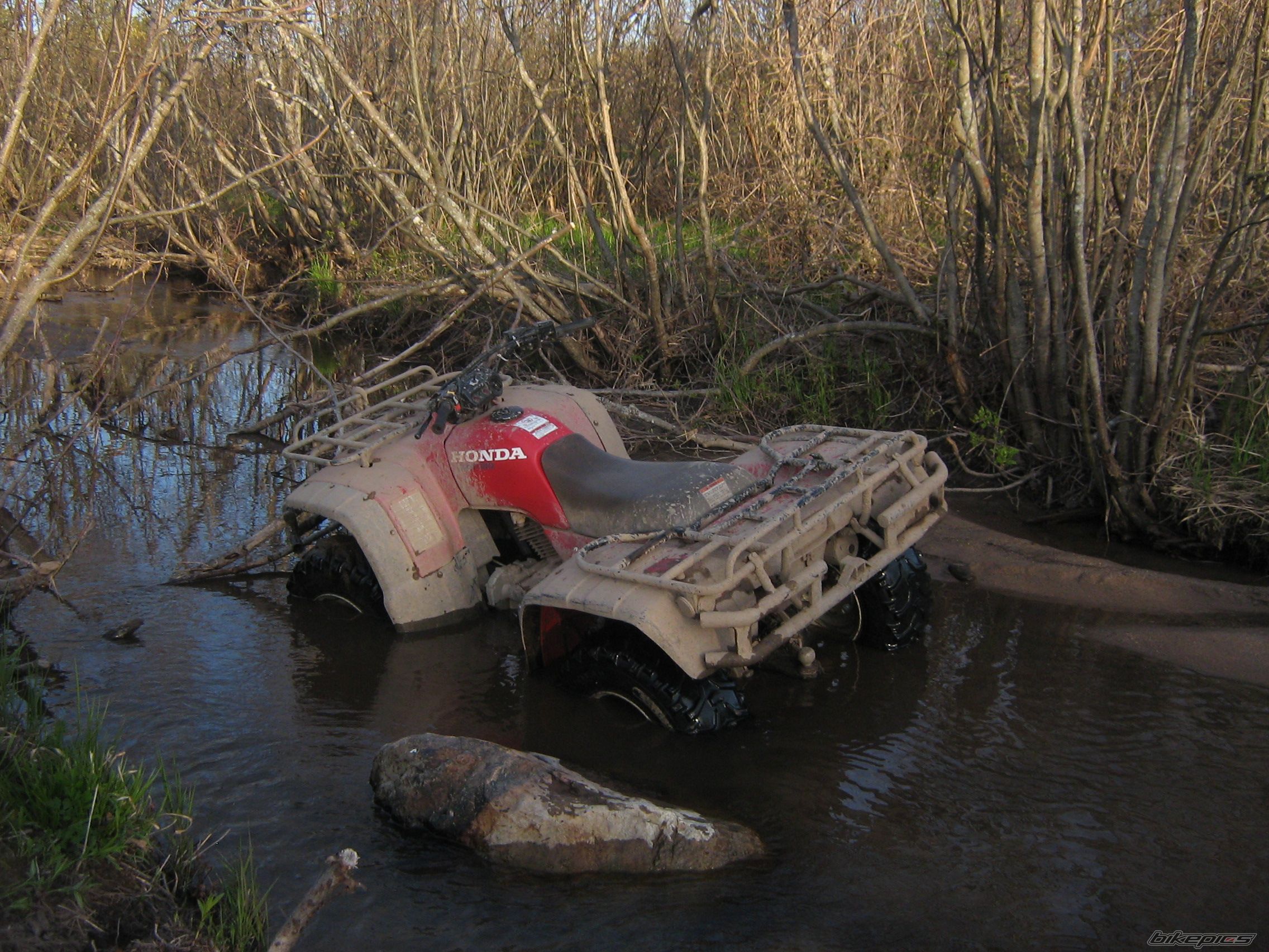 Photo 1347020