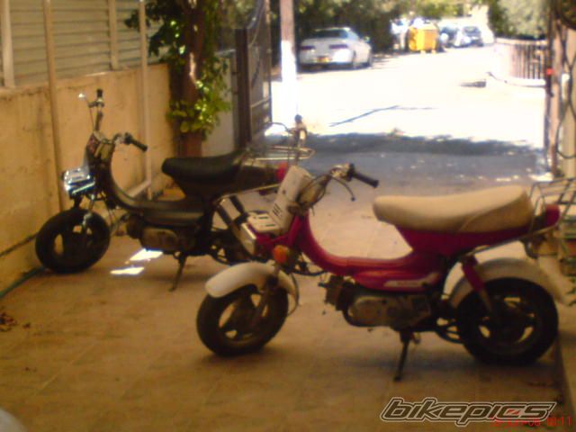 Photo 1347029