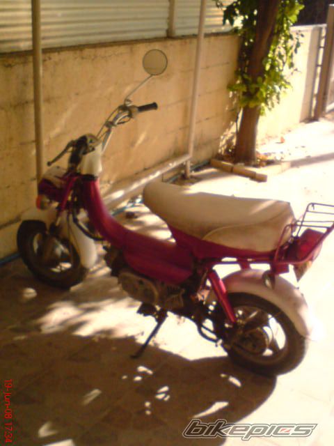 Photo 1347033