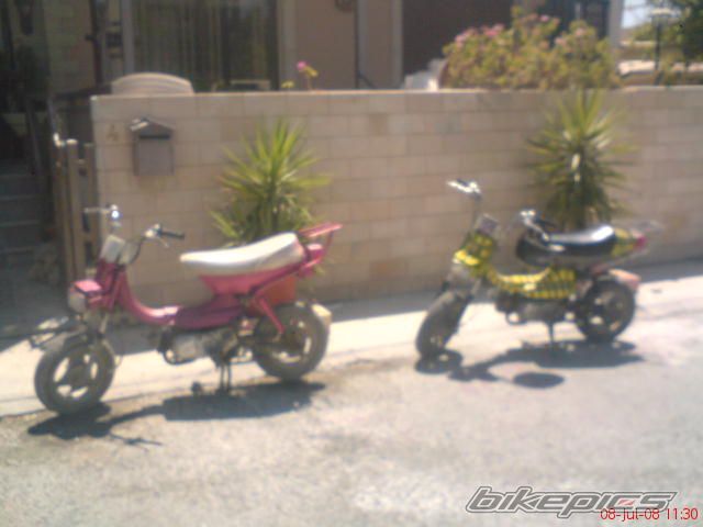 Photo 1347034