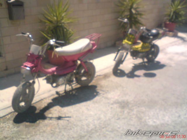 Photo 1347035