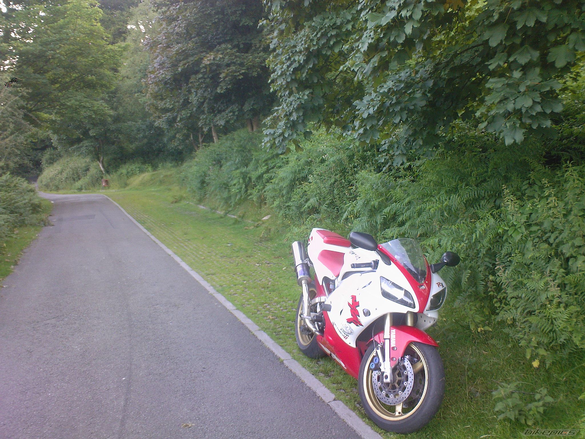 Photo 1347122