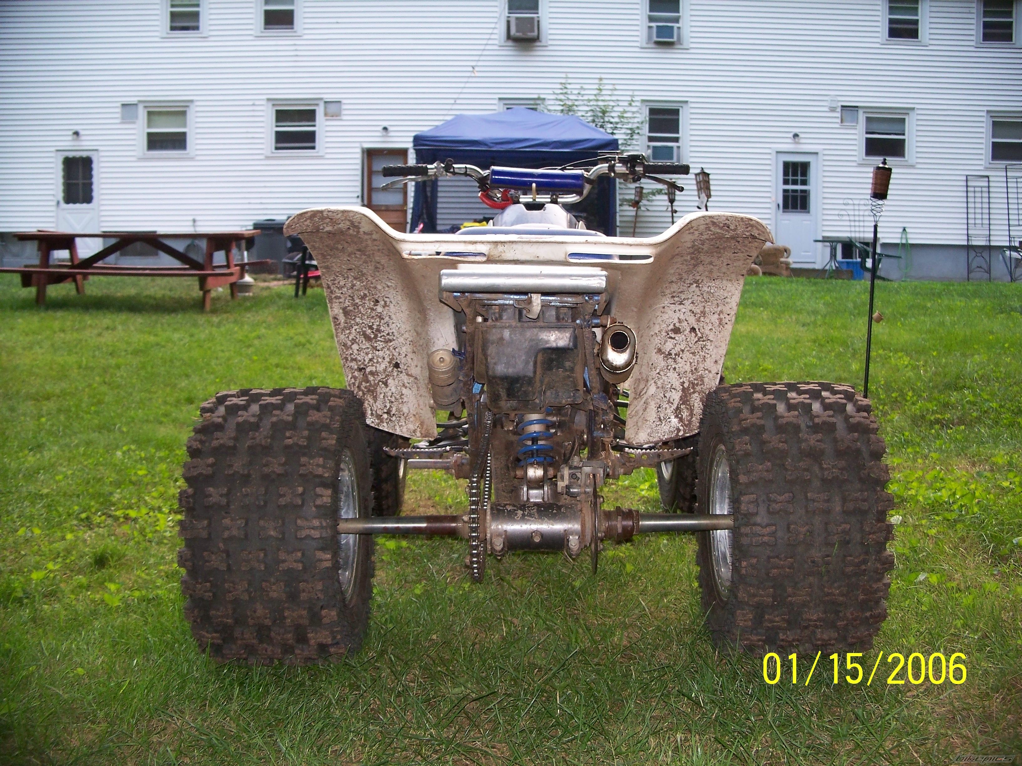 Photo 1347159