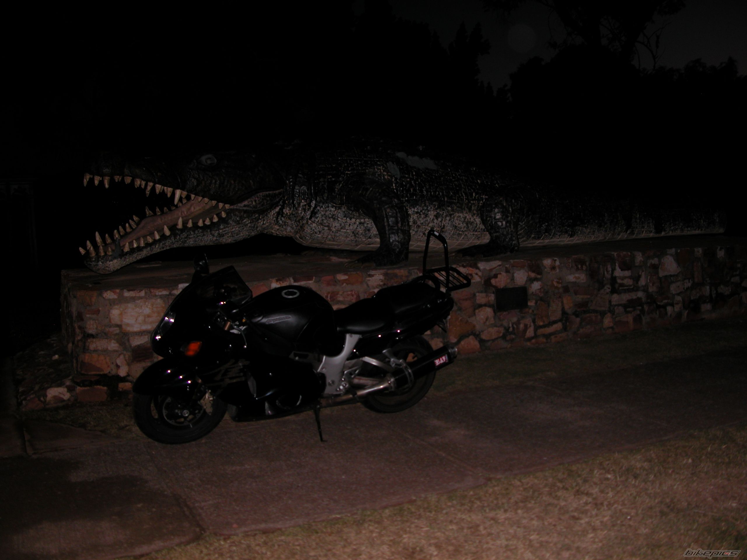 Photo 1347259