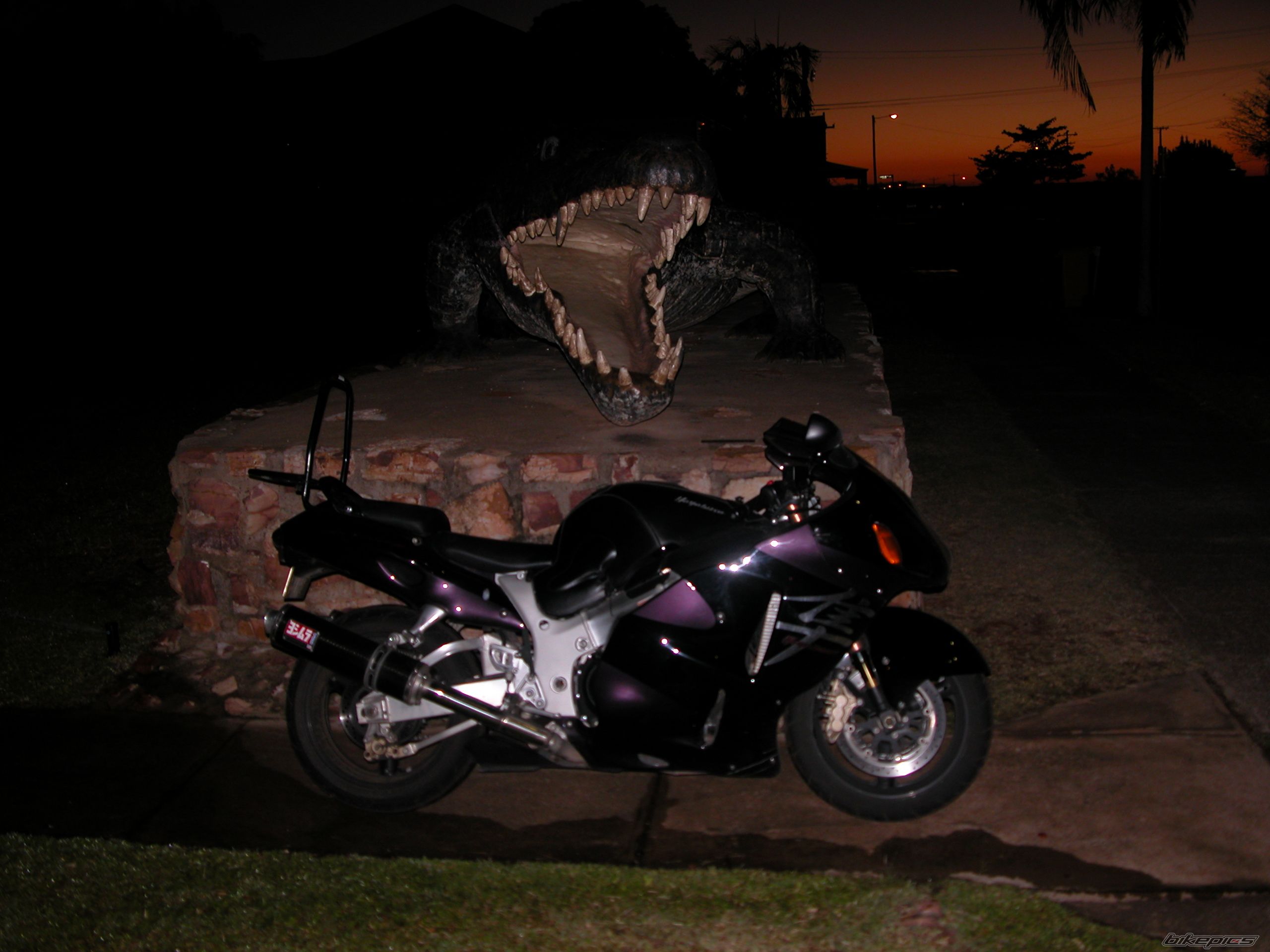 Photo 1347262
