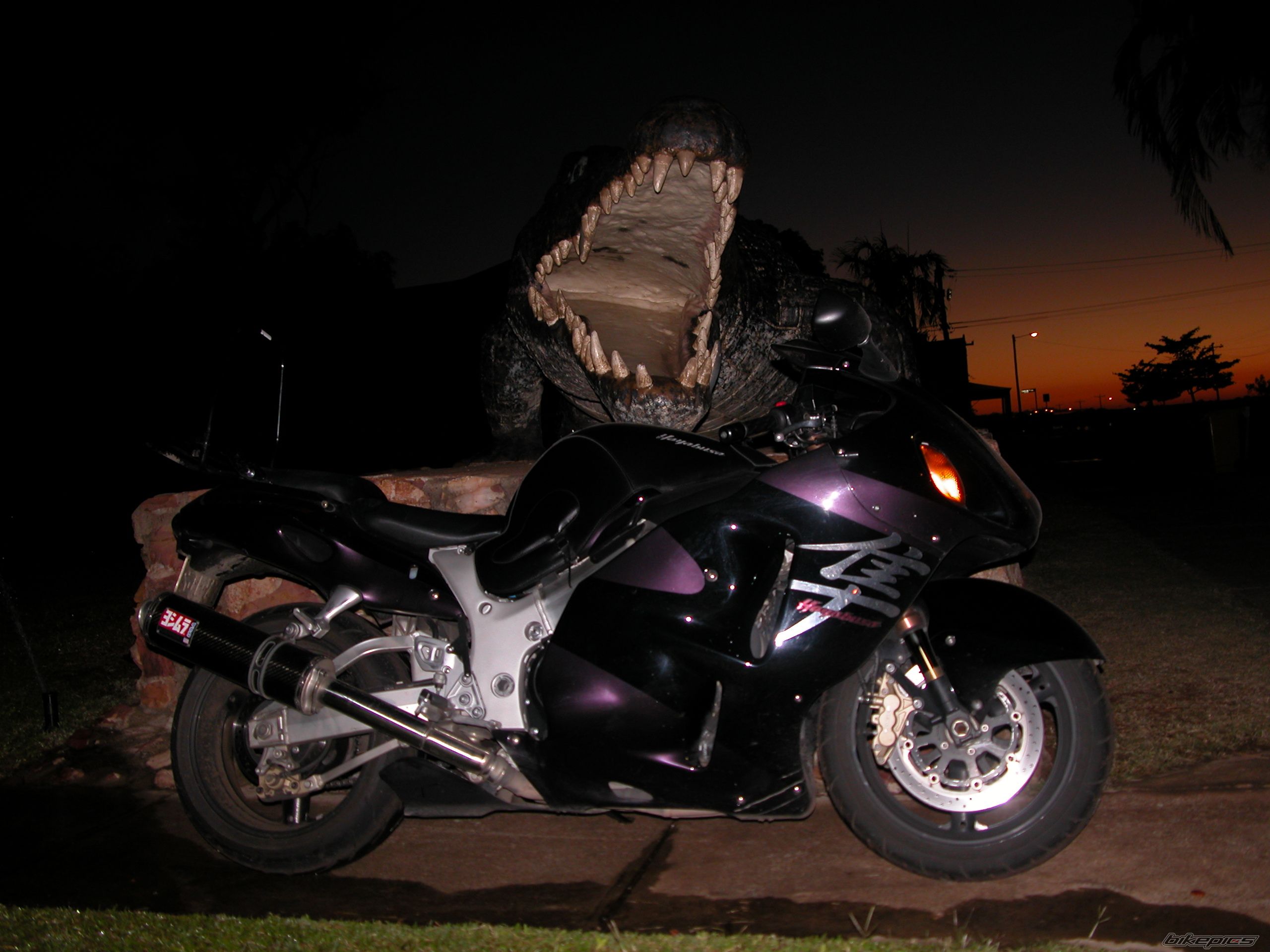 Photo 1347263