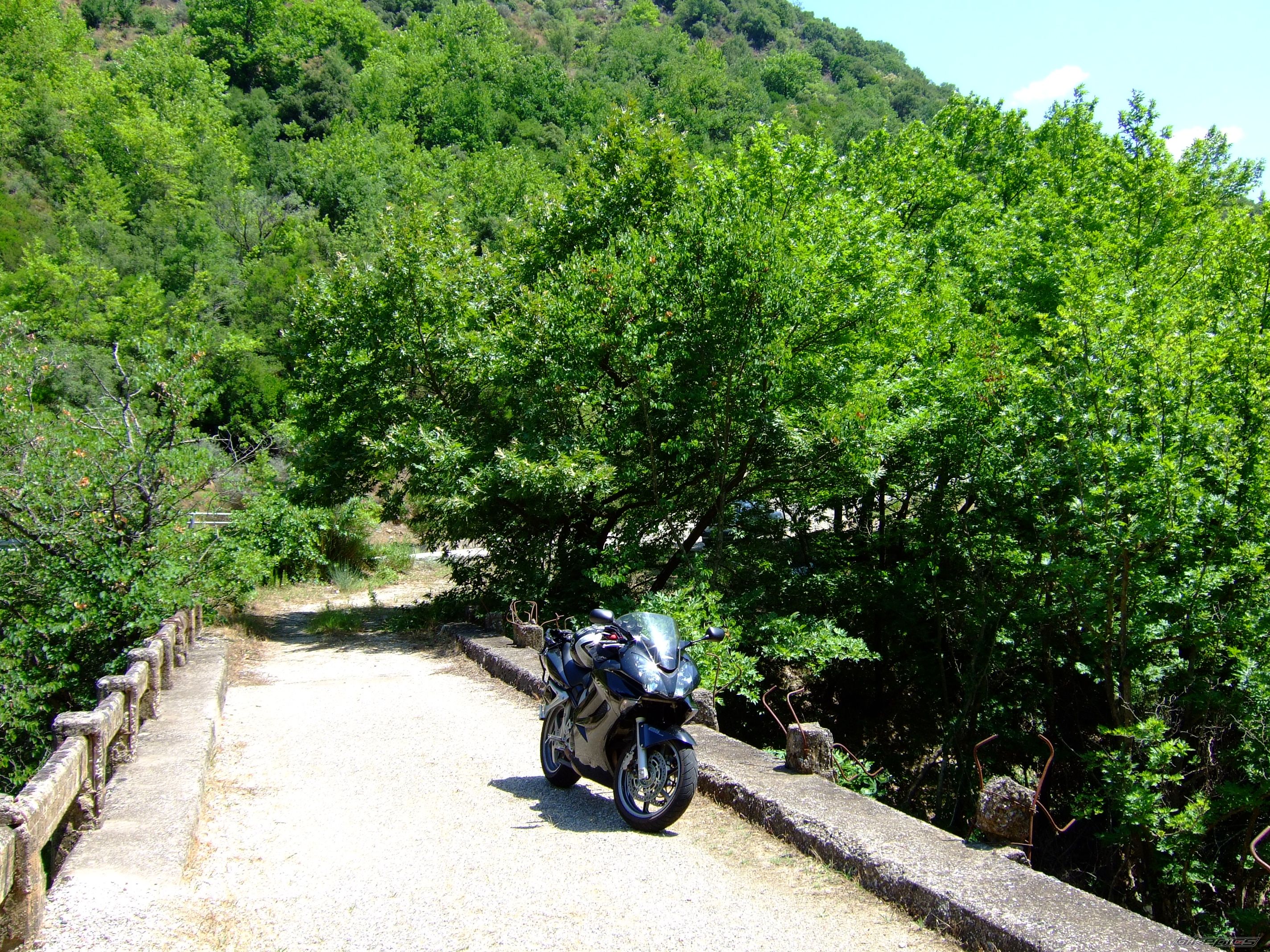 Photo 1347277