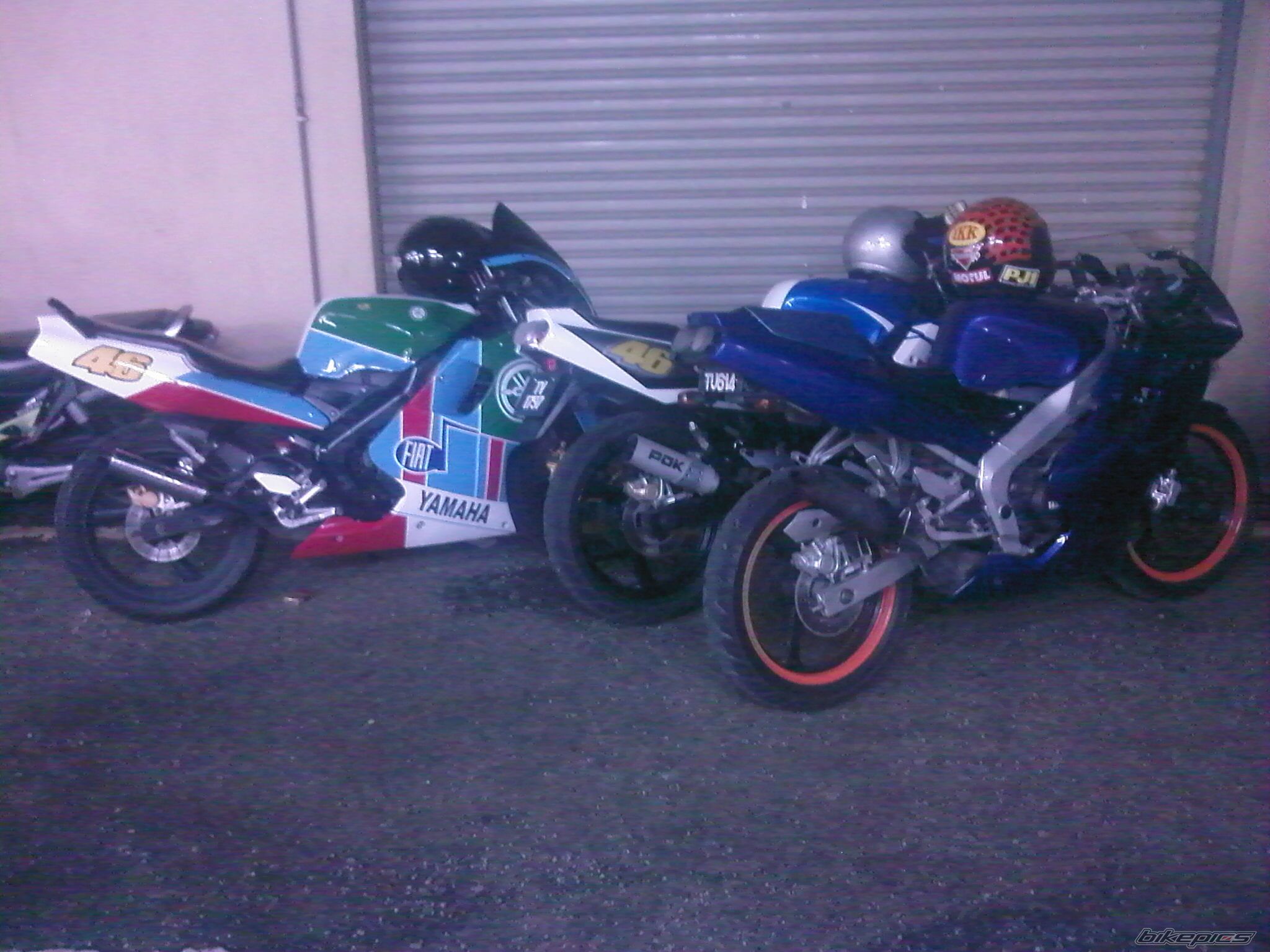 Photo 1347354
