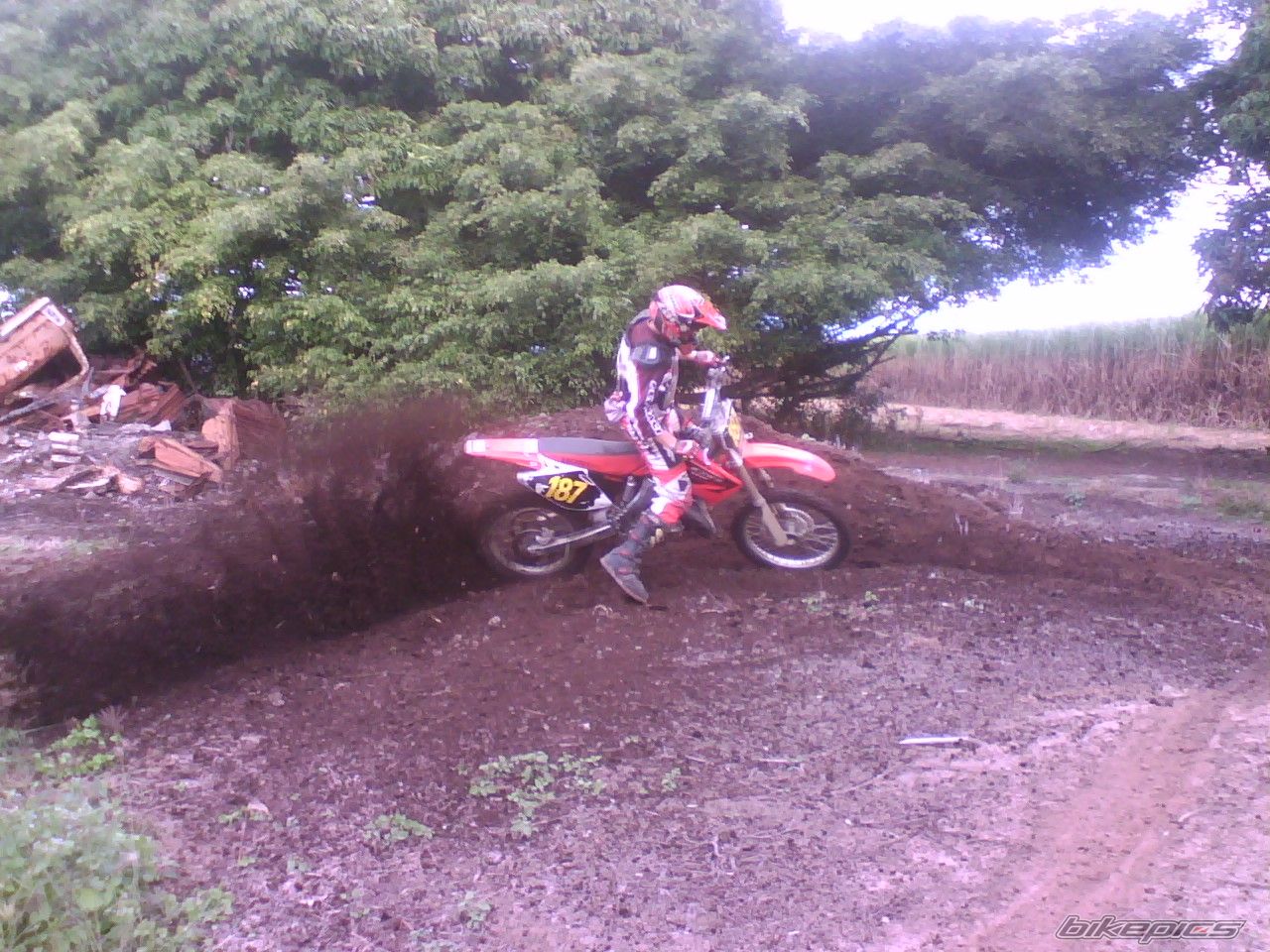 Photo 1347475