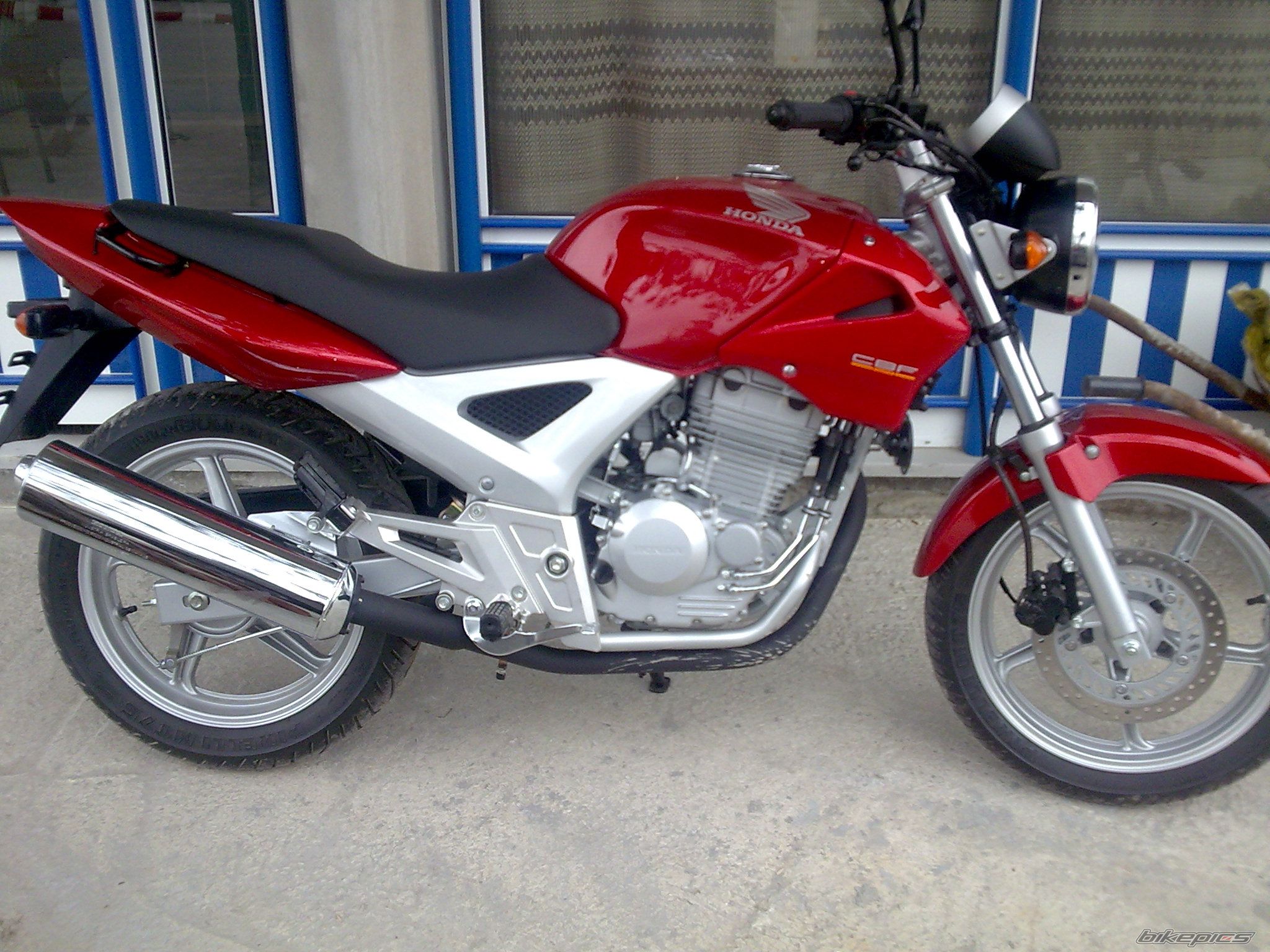 Photo 1347478