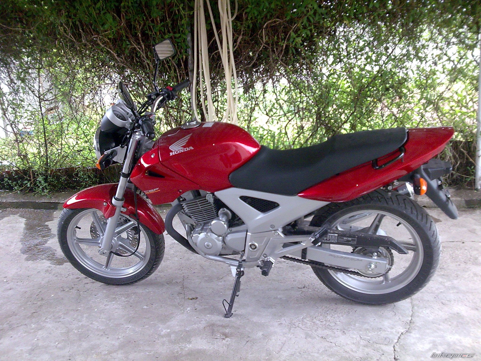 Photo 1347480