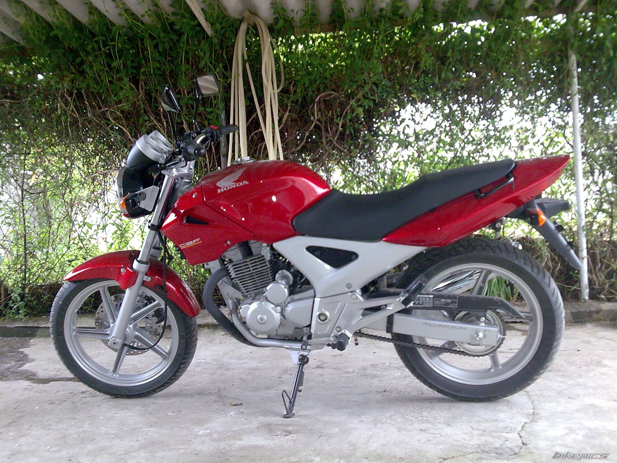 Photo 1347483