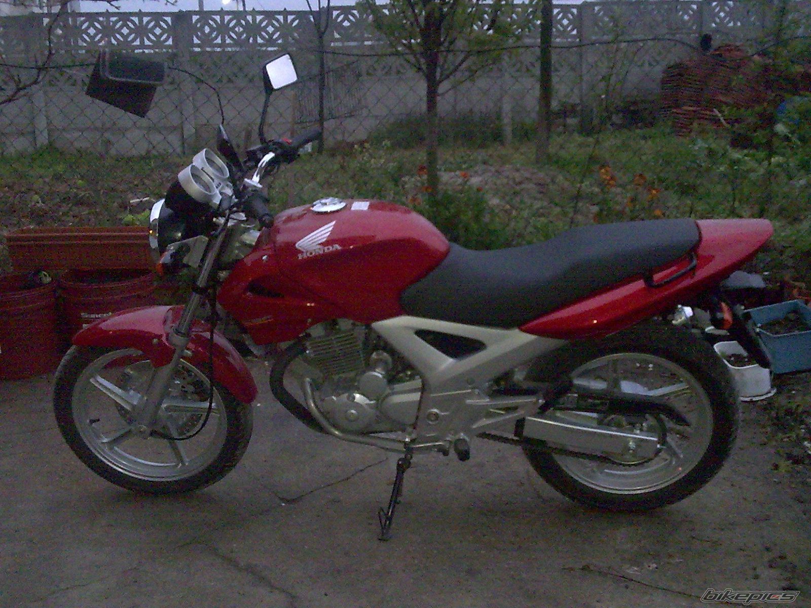 Photo 1347488