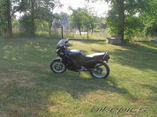 Photo 1347523