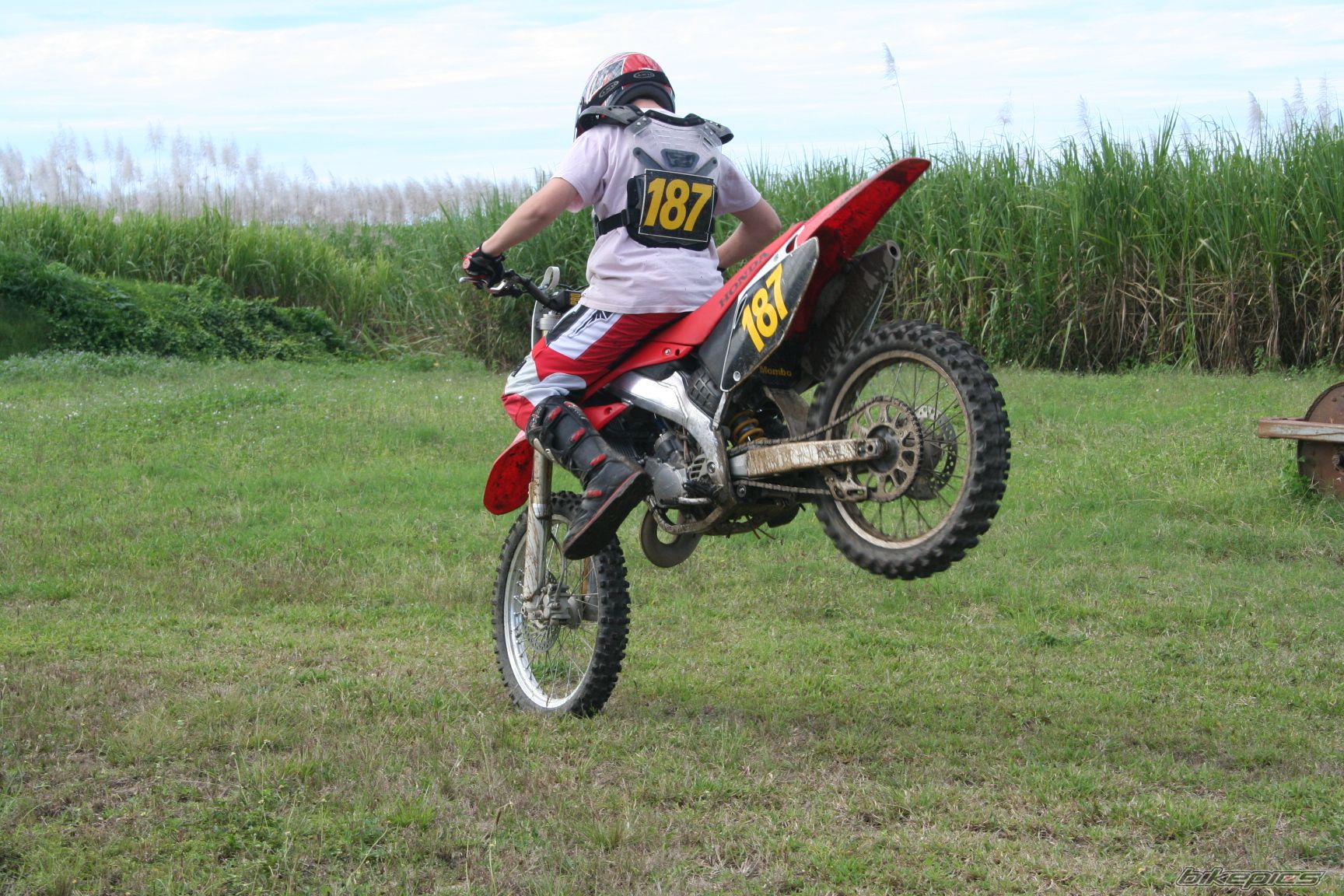 Photo 1347540
