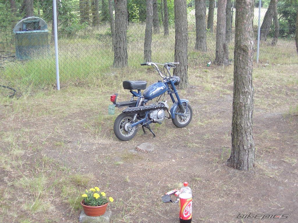 Photo 1347644