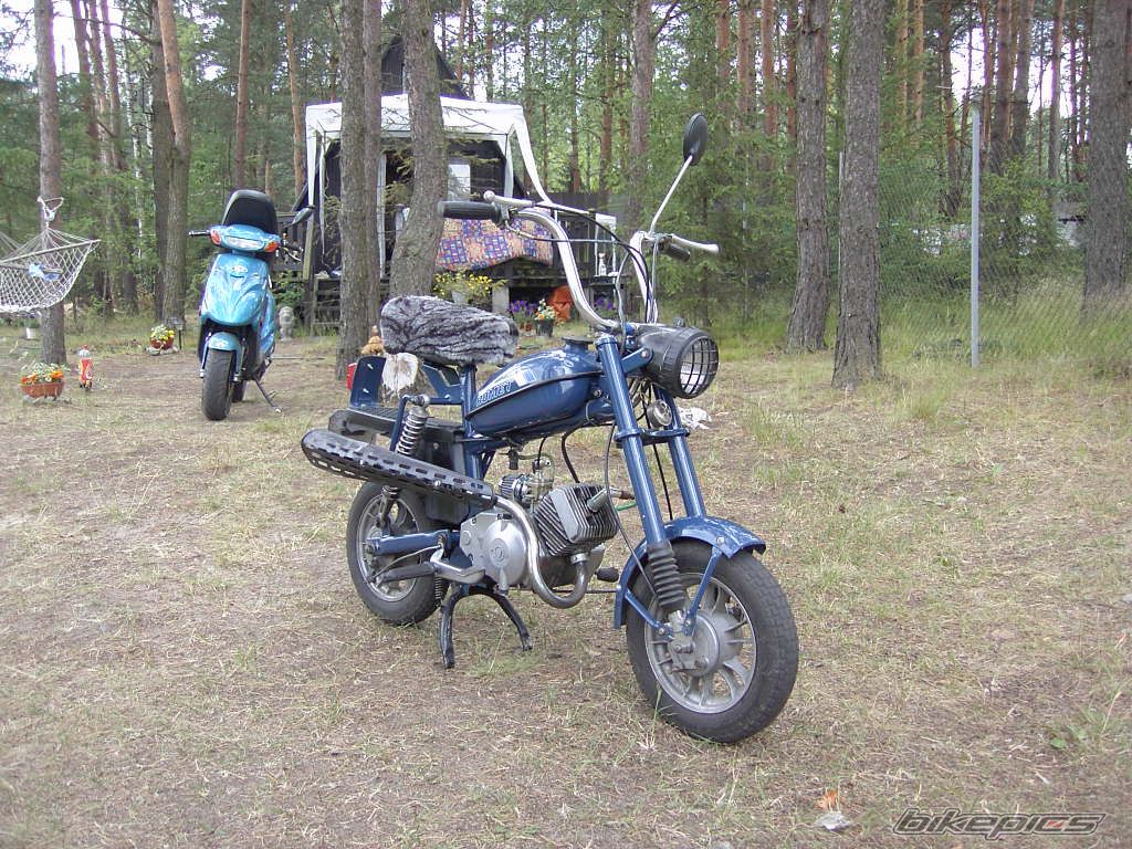 Photo 1347665