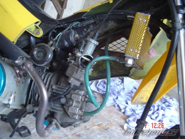 Photo 134767