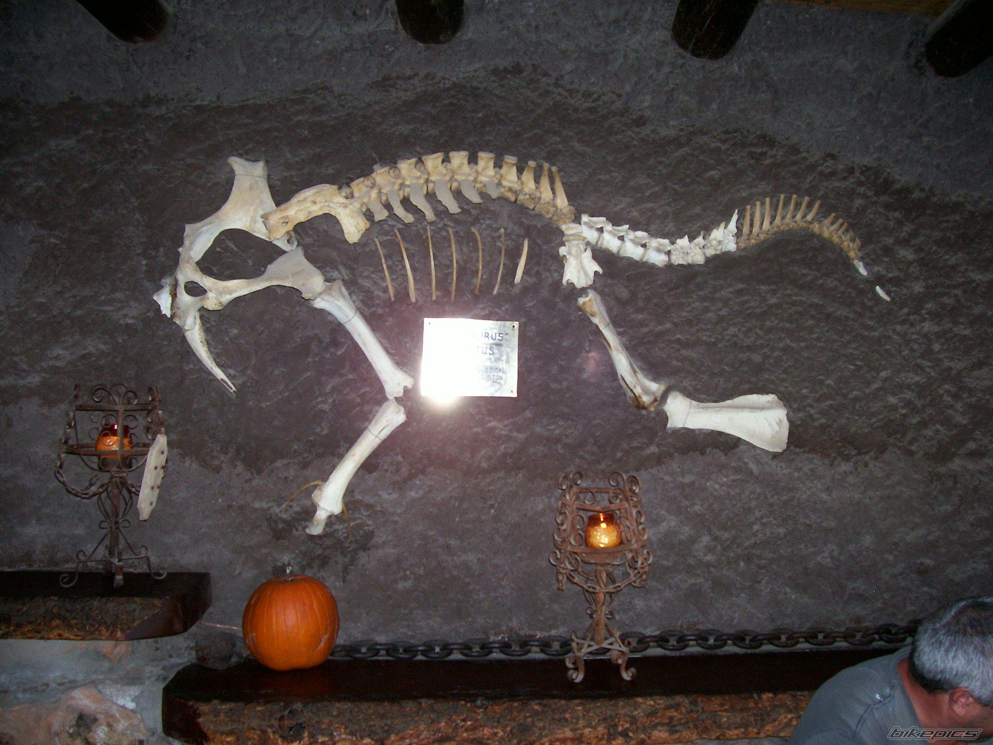 Photo 1347695
