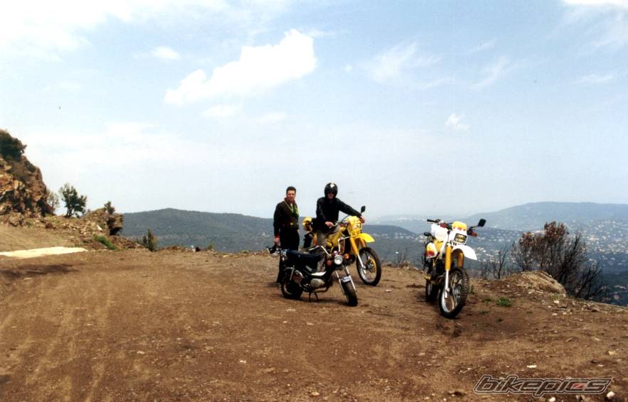 Photo 134772