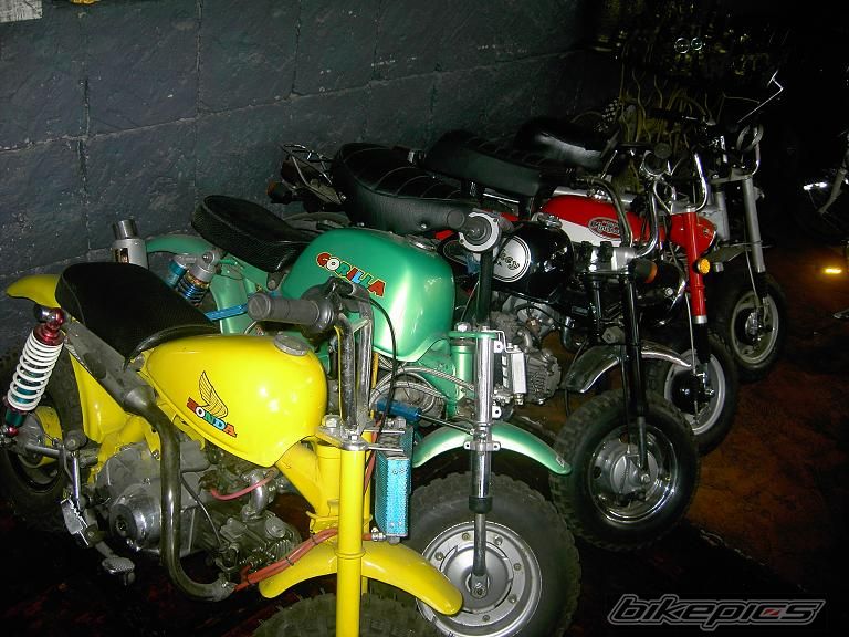 Photo 1347906